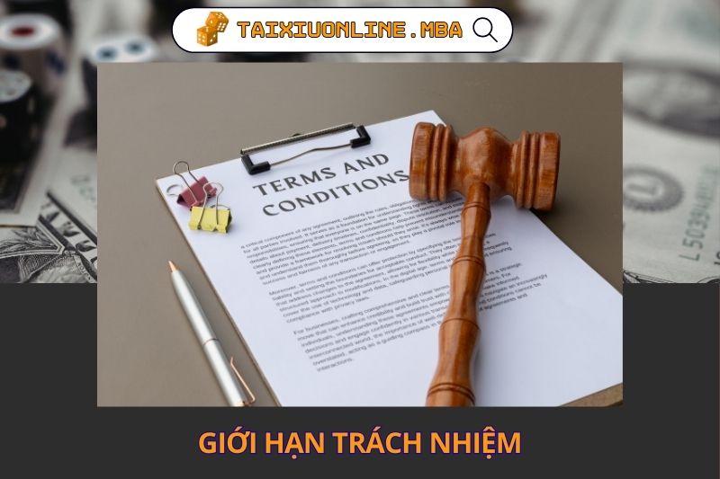 Giới hạn trách nhiệm và cam kết thông tin