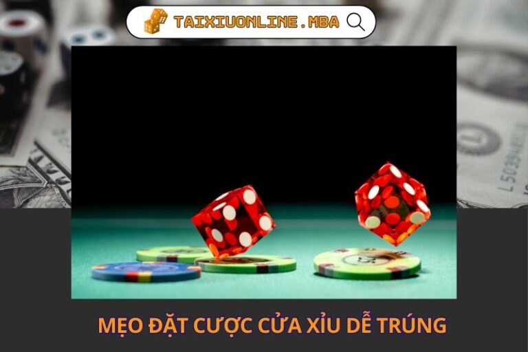 Meo Dat Cuoc Cua Xiu De Trung Nhin Tu Bet Thu