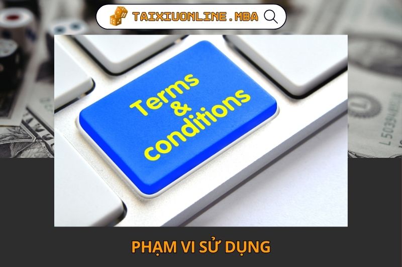 Phạm vi sử dụng và trách nhiệm người dùng
