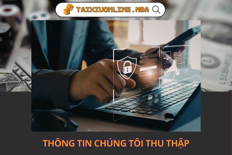Thông tin chúng tôi thu thập